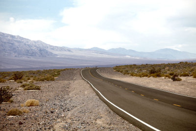 Curved desert road