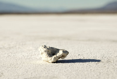 Rock on Salt Flats