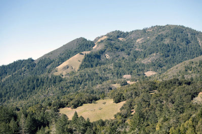 Sugarloaf hills