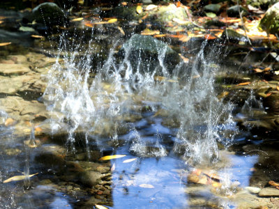  sand splashes in creek