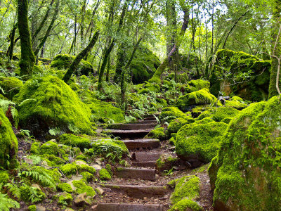 Sugarloaf steps