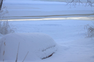 IMG_6127.jpg