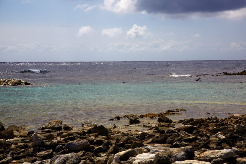 _02C1021.jpg
