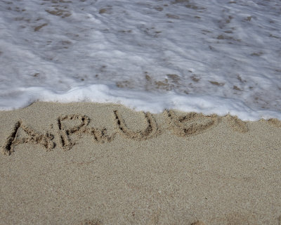 ArubaInSand.jpg