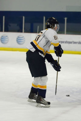 jrpreds