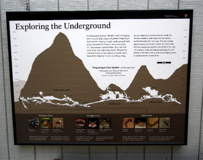 Timpanogos