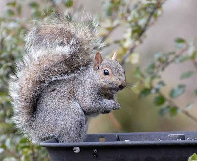 DSC_0096.jpg
