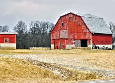 February-19-08-Barns-012-copy.jpg