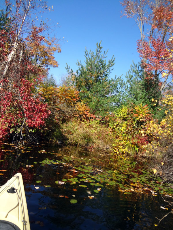 fall is in the air