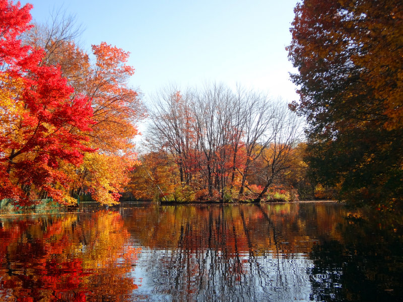 Fall 2012