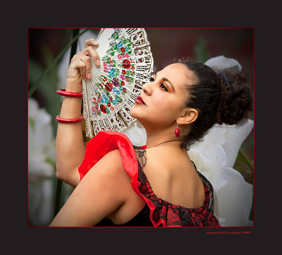 Spanish Dancer.