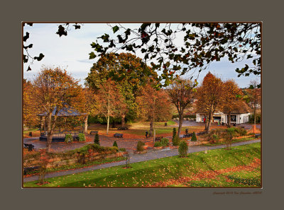 Autumn at the Park