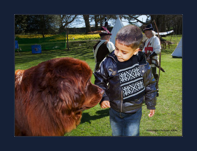 Boy with Newfoundland Dog