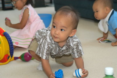 DSC_4362xs.jpg