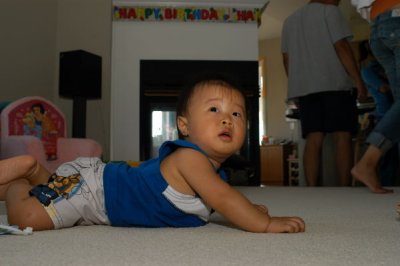 DSC_4461xs.jpg