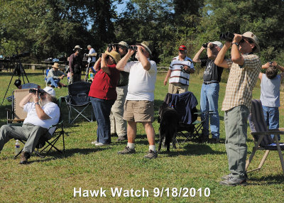 Hawk Watch DSCN_210746.JPG