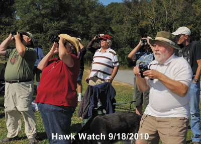 Hawk Watch DSCN_210749.JPG