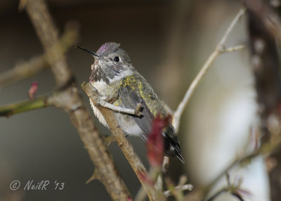 DSCN_310710.JPG