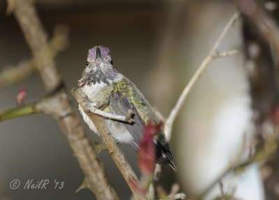 DSCN_310712.JPG