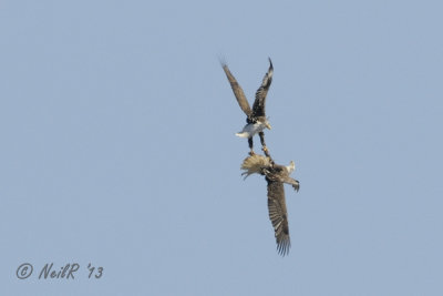 DSCN_313036.JPG