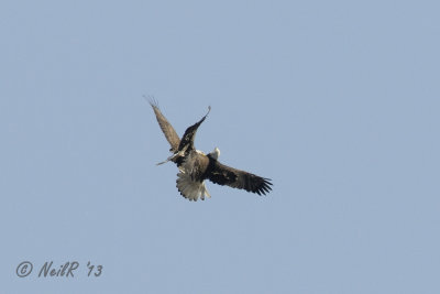 DSCN_313037.JPG