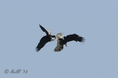 DSCN_313041.JPG