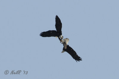 DSCN_313042.JPG