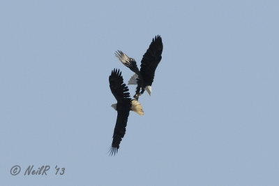 DSCN_313043.JPG