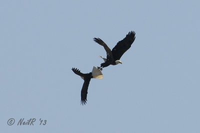 DSCN_313046.JPG