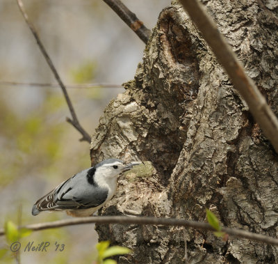 DSCN_316570.JPG