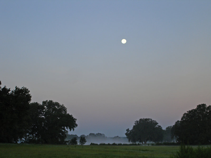 Moon Set