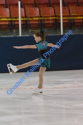 3146.jpg