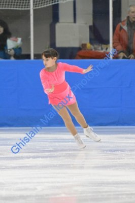 2446.jpg