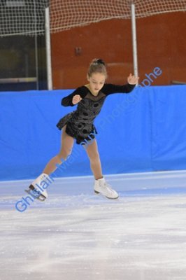 2590.jpg