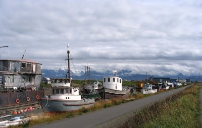 Homer Old Boats all in a Row.jpg