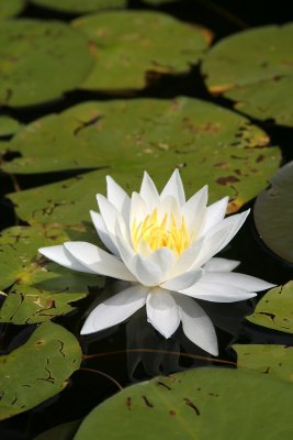 IMG_1402.jpg