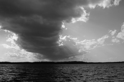 IMG_1420.jpg