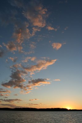 IMG_1437.jpg