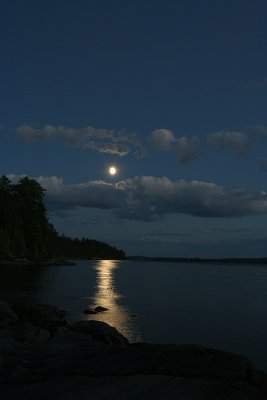 IMG_1445.jpg