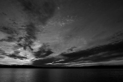 IMG_1468.jpg
