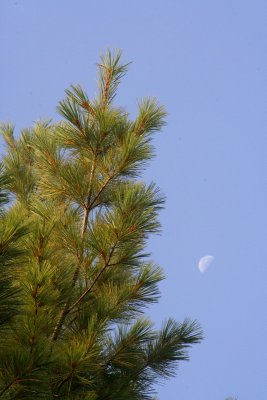 IMG_1949.jpg