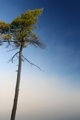 IMG_1953.jpg