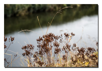 20121108_3a7b9290.jpg