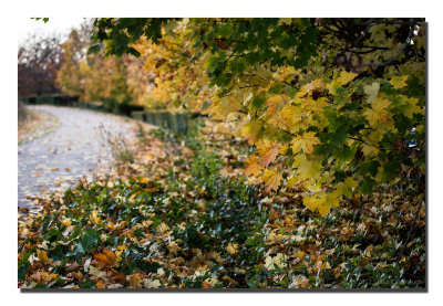 20121108_3a7b9307.jpg