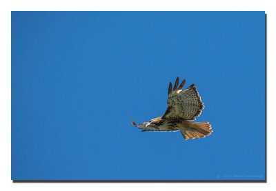 20130309_3a7b0845.jpg