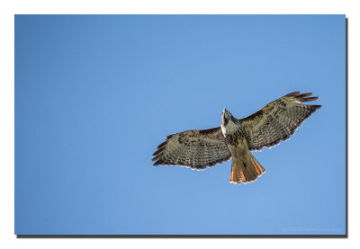 20130309_3a7b0882.jpg