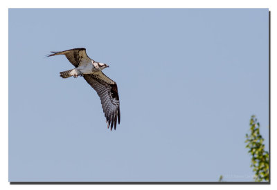 20130423_3a7b1656.jpg