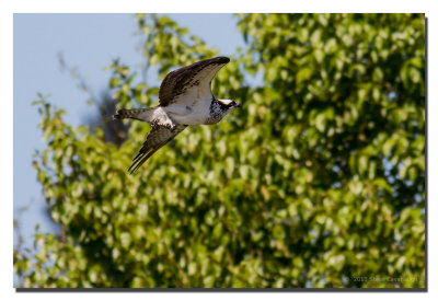 20130423_3a7b1663.jpg