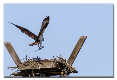 20130423_3a7b1680_1.jpg