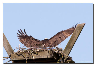 20130423_3a7b1682.jpg